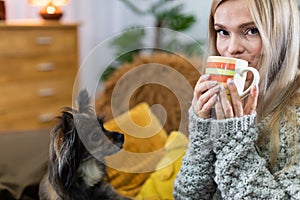 A young woman is drinking tea from a cup with colorful stripes and a dog is looking at her. Close-up frame. Multi-breed