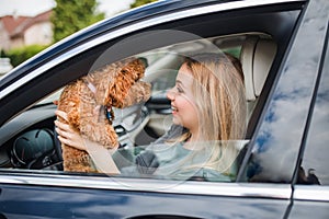 Young woman driver with a dog sitting in car.