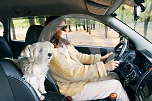 Young woman driving a car with her white dog in the passenger seat enjoying road trip together