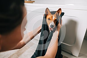 Young woman drying her dog with towel after bathing