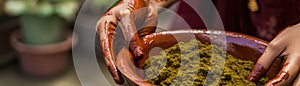 Young Woman Dyes Her Hair With An Herbal Mixture Of Henna And Basma To Produce Brown Color Panoramic
