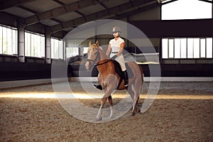 Young woman in equestrian suit riding horse indoors. Beautiful pet