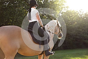 Young woman in equestrian suit riding horse outdoors on sunny day, back view. Beautiful pet