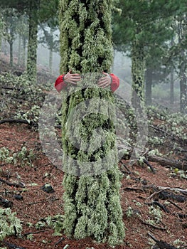 Young woman exploring stunning autumn foggy forest in the mountains - nature lovers, hiking or adventure concept