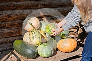 Young woman farmer holds mature squash harvest picked from garden.