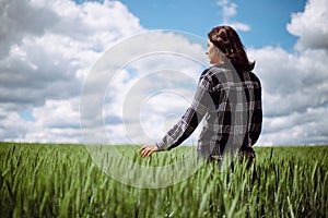 Young woman farmer walks at the green wheat field touching spikelets with her hand. Female farm worker checking the