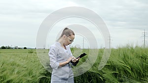 Young woman farmer wearing white bathrobe is checking harvest progress on a tablet at the green wheat field.