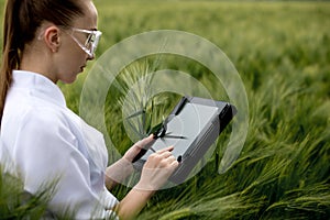 Young woman farmer wearing white bathrobe is checking harvest progress on a tablet at the green wheat field. New crop of