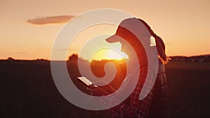 Young woman farmer working with tablet in field at sunset. The owner of a small business concept