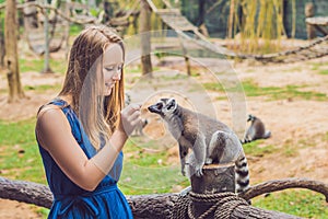 Young woman is fed Ring-tailed lemur - Lemur catta. Beauty in na