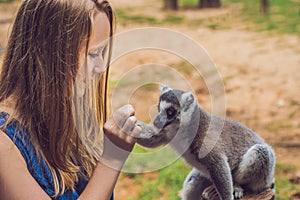 Young woman is fed Ring-tailed lemur - Lemur catta. Beauty in nature. Petting zoo concept