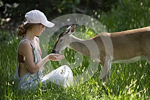 Young woman feed deers bambi. Cute wild animals concept.