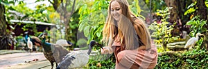 Young woman feeding an African Sacred ibis BANNER, LONG FORMAT