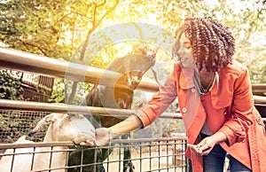 Young woman feeding animals at the zoo.