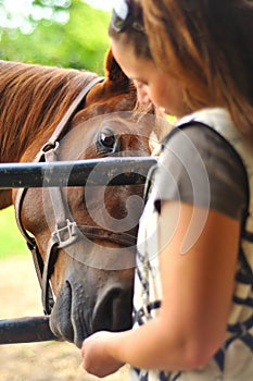 Young woman feeding horse