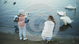 A young woman feeding on a lake swans and ducks Bird feeding in winter