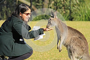 Woman feeding grass img