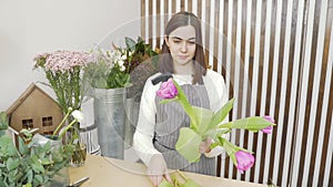 Young woman florist composing a bouquet of tulips in a flower shop or workshop.