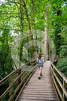 Young Woman On Forest Hiking Walk Near Village Betws-y-Coed In Snowdonia National Park In Wales, United Kingdom