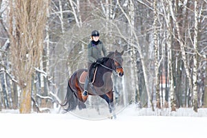 Young woman galloping on bay horse on winter field