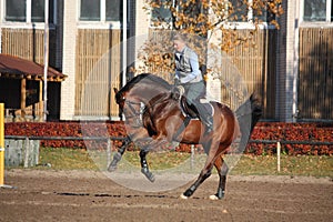 Young woman galloping on brown horse