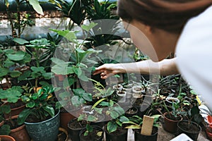 Young woman gardener in glasses and apron working in a garden center