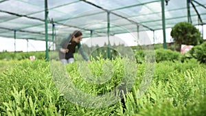 Young woman gardener making notes in clipboard, behind plants in greenhouse. Focus on plants