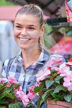 Young woman gardening in greenhouse.She selecting flowers