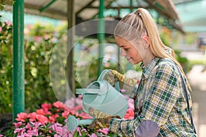 Young woman gardening in greenhouse.She selecting flowers