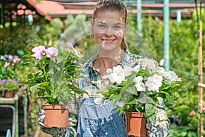 Young woman gardening in greenhouse.She selecting flowers