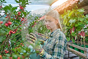 Young woman gardening in greenhouse.She selecting flowers