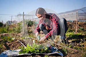 Young woman gardening in urban garden