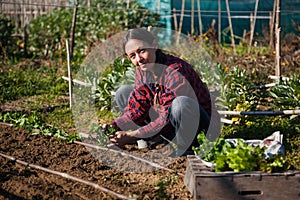 Young woman gardening in urban garden