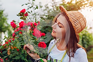 Young woman gathering flowers in garden. Girl smelling and cutting roses off. Gardening concept