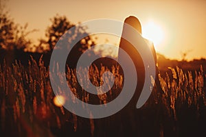 Young woman Girl in field in Sunset in spring, summer landscape background Springtime Summertime. Beautiful smiling woman in a