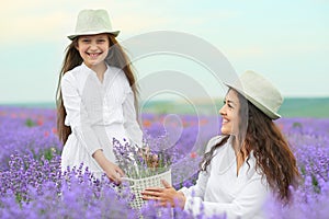 Young woman and girl are in the lavender field, beautiful summer landscape with red poppy flowers