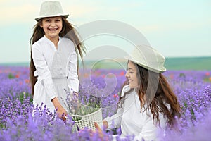 Young woman and girl are in the lavender field, beautiful summer landscape with red poppy flowers