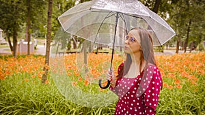 Young woman in glasses with transparent umbrella standing in rainy weather. Pretty female in red dress sheltering with