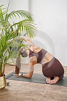 Young woman going yoga exercise at home. Health care online lessons