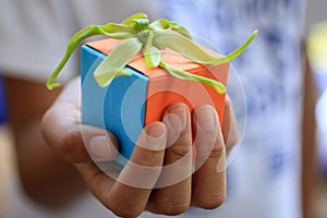 Young woman hand holding a colorful  small gift box with a green cananga odorata flower on it.