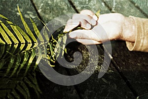 Young woman hand holding fern or palm leaf in a lying position. Hope and Fragility concept with abstract art grunge background.