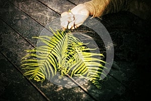 Young woman hand holding fern or palm leaf in a lying position. Hope and Fragility concept with abstract art grunge background.