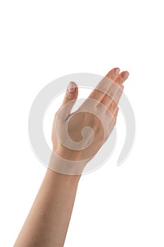 Young woman hand reaching or holding something isolated on white background