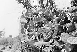 Young woman hanging from a rope next to big cactus plants