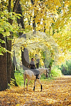 Young woman and her beautiful white arabian stallion riding in the autumn woods