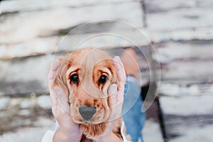 young woman and her cute puppy of cocker spaniel outdoors