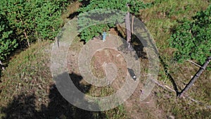 Young woman and her cute well trained dog playing together in the edge of the forest - aerial view