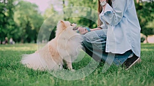 Young woman with her dog