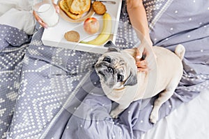 Young woman with her dog in a bed. Breakfast in bed