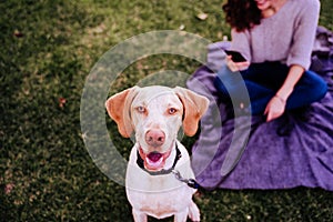 young woman with her dog at the park. woman using mobile phone. autumn season